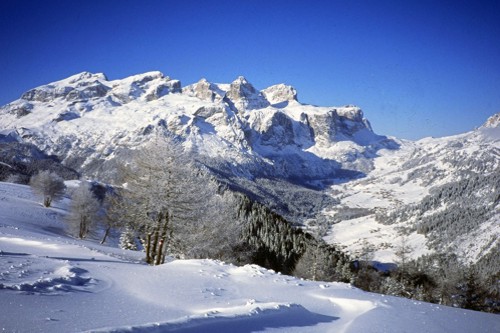 Foto Freddy Planinschek